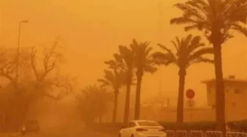 ماذا يوافق تاريخ 3 مارس في الشهور القبطية والتقويم المصري القديم؟